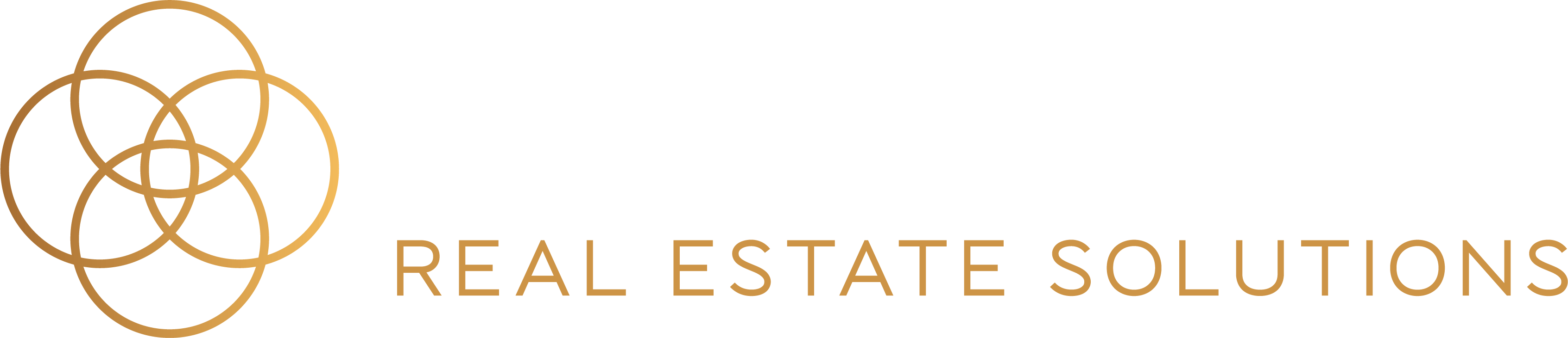 Central Real Estate Solutions Logo